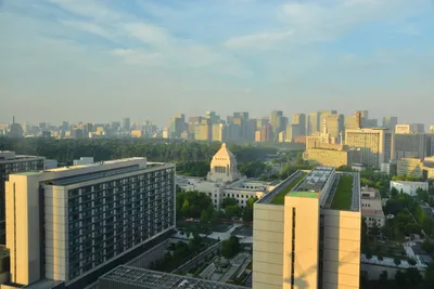 DSC_3525 (Large).JPG